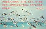 no_description_zz
