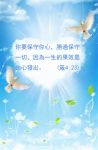 no_description_zz