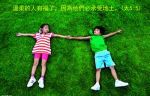 no_description_zz
